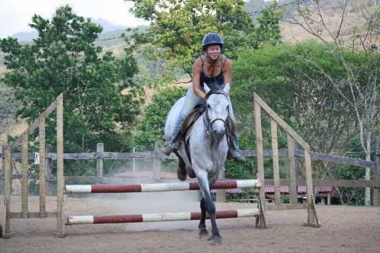 Establo San Rafael Natural Horsemanship景点图片