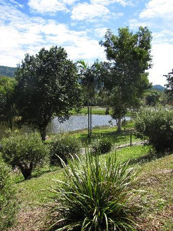 Tjapukai Aboriginal Cultural Park-Caravonica必去景点