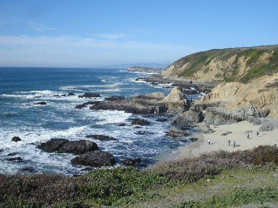 Bodega Head景点图片