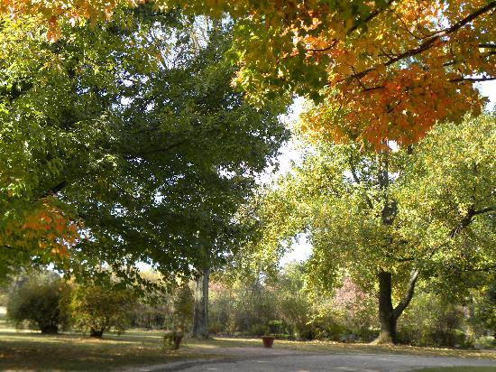 My Old Kentucky Home - Golf And Museum景点图片