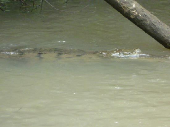 Papagayo Vargas Tours-利比里亚必去景点