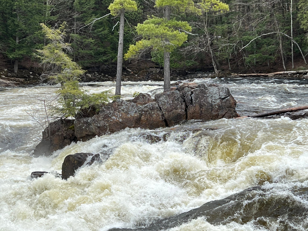 Dorwin Falls Park-Rawdon必去景点