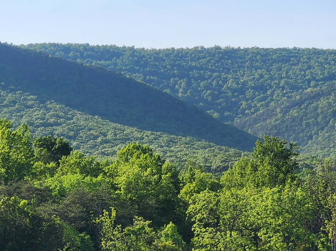 Pembroke Springs Retreat主图