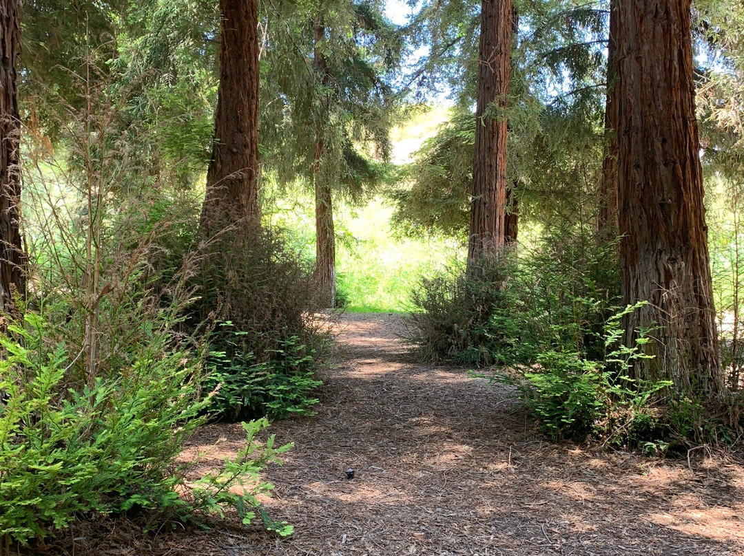 Carbon Canyon Regional Park-Brea必去景点