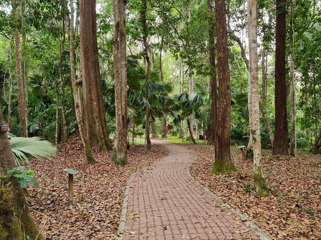 半岛植物园景点图片