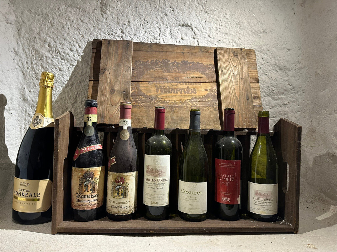 Castello Rametz - Wine Museum景点图片