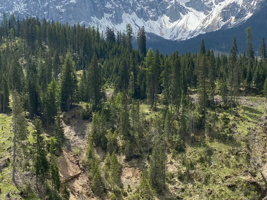 Gasthof Albergo Meierei主图