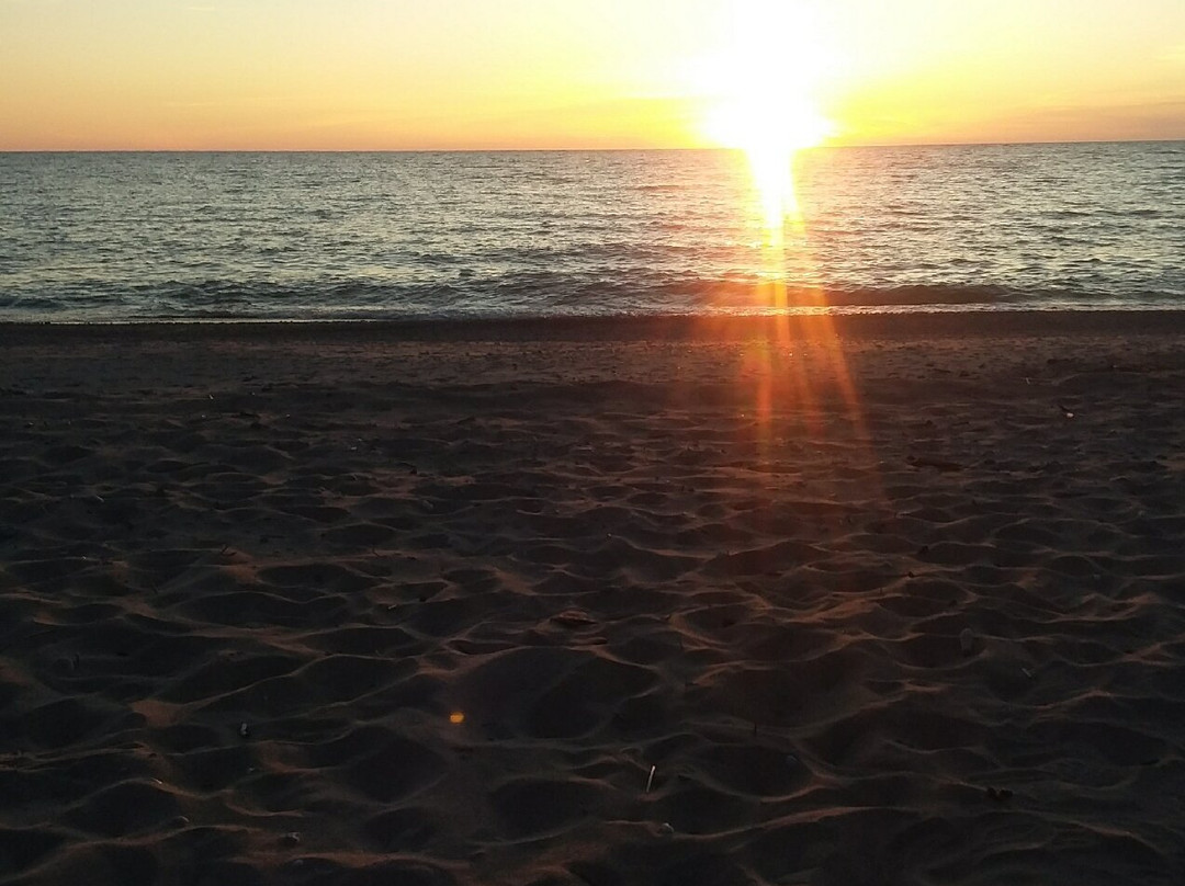 The Beach Motel主图