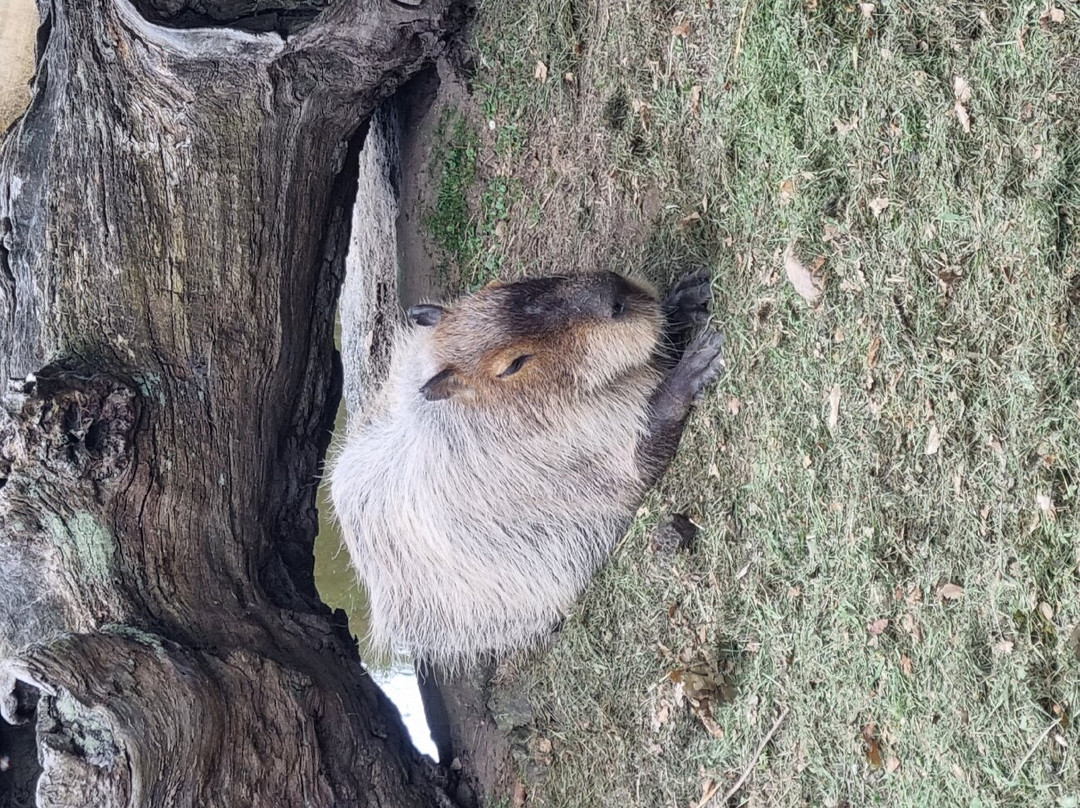 Marcelle Natureza-Outeiro de Rei必去景点