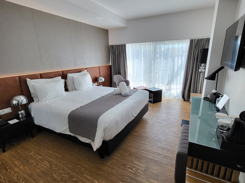 雅典艾莉雅艾尔穆酒店主图