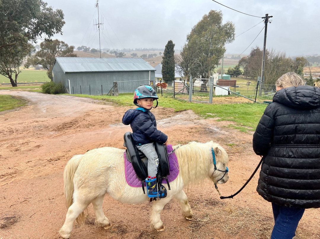 Bathurst Farm Experience and Led Pony Rides景点图片