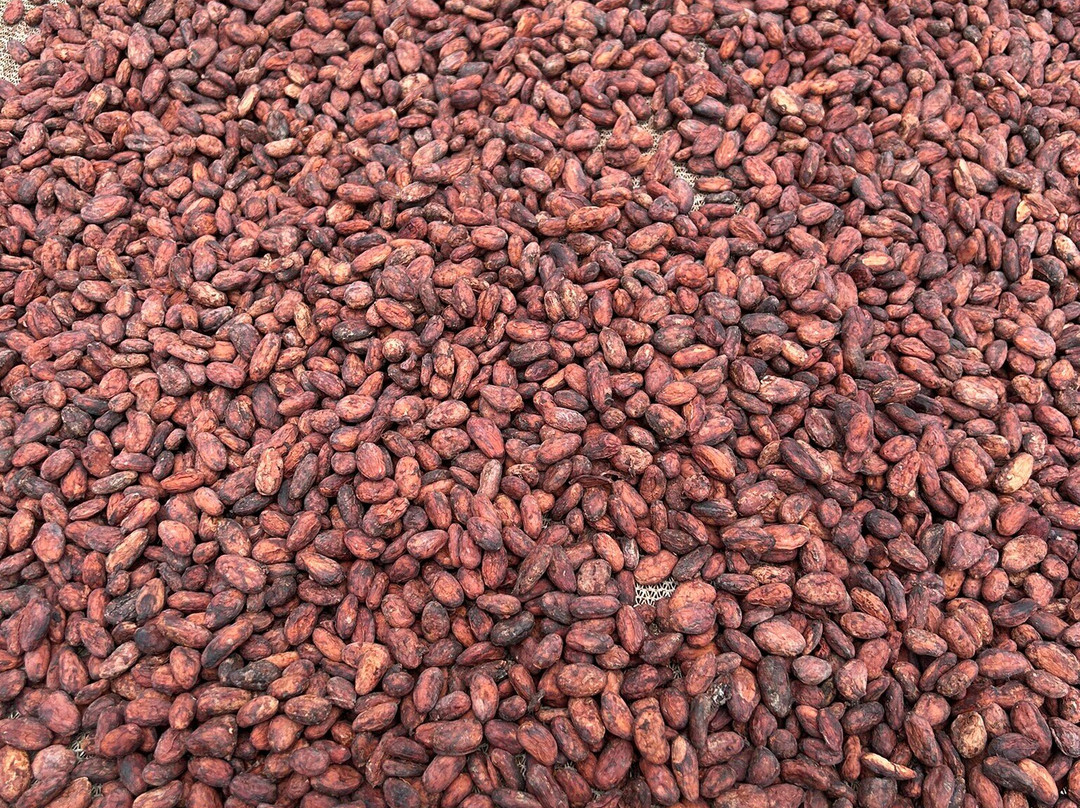 Mahi‘ai Made-希洛必去景点