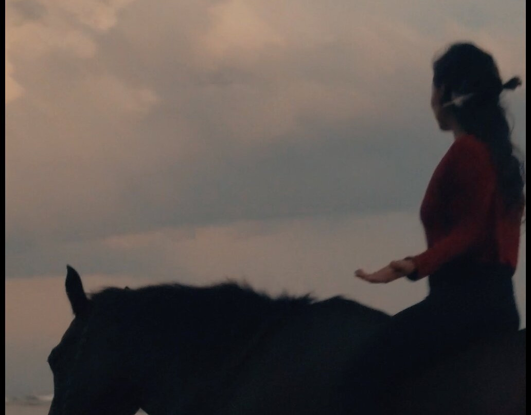 Horse Spirit Healing景点图片