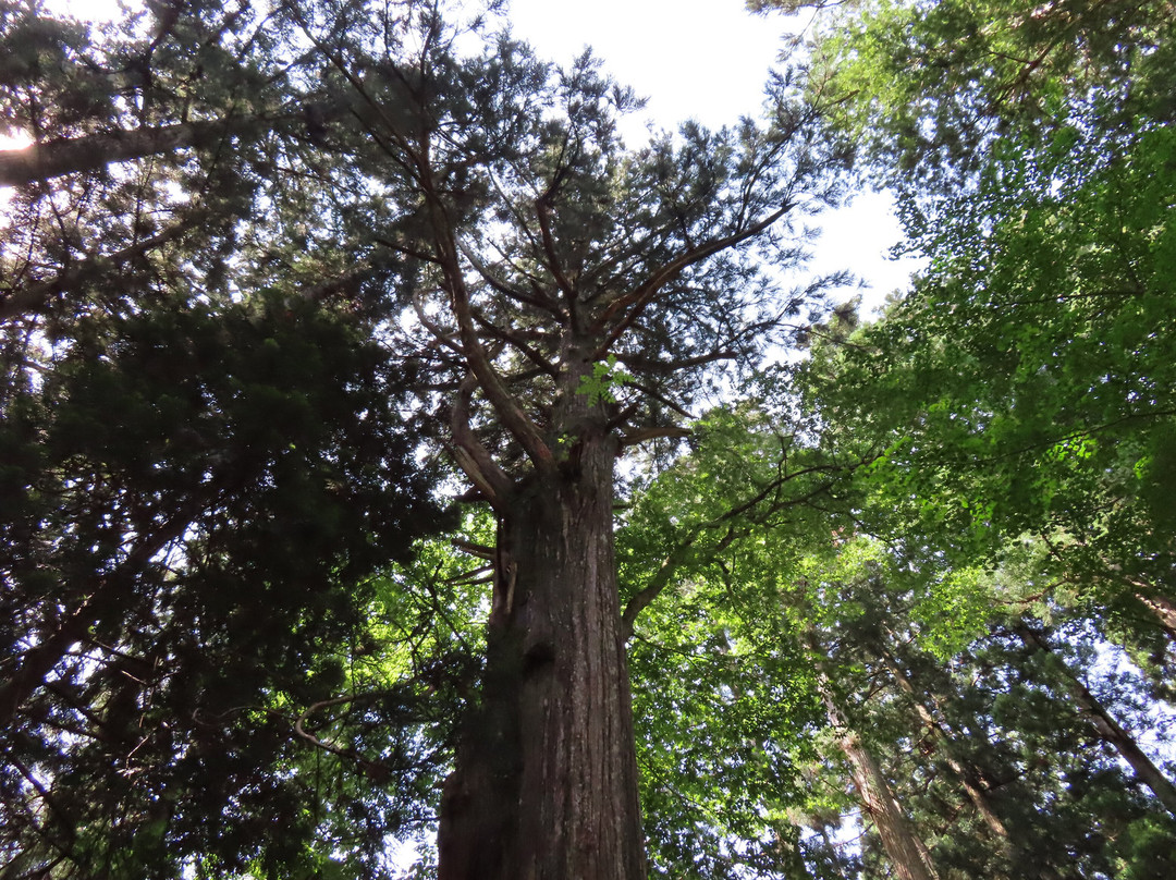 Kinbou Shrine-仙北市必去景点