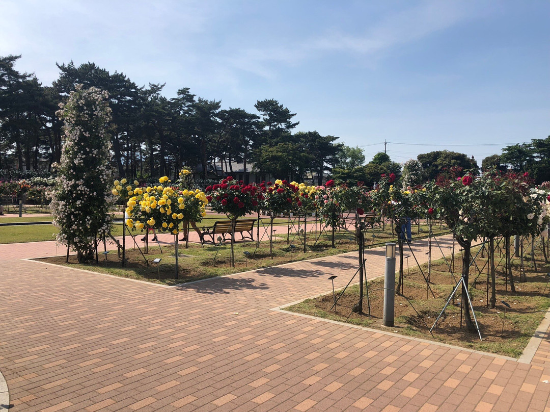 Shikishima Park-前桥县必去景点