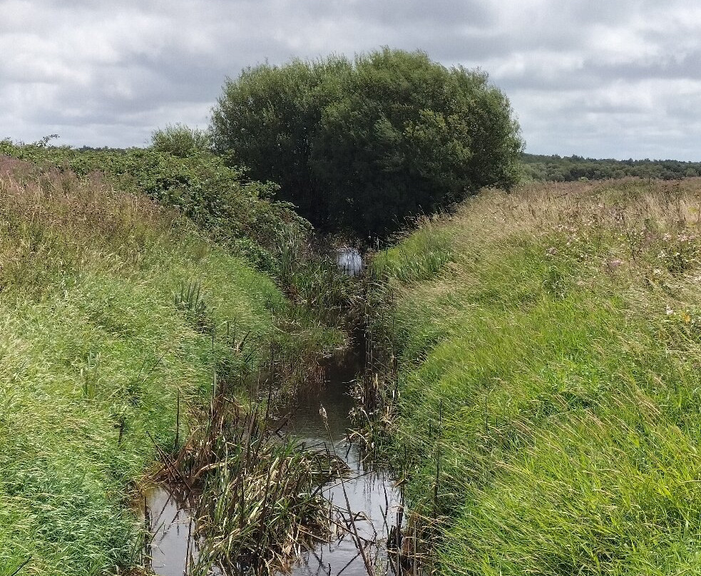 Lunt Meadows Nature Reserve景点图片