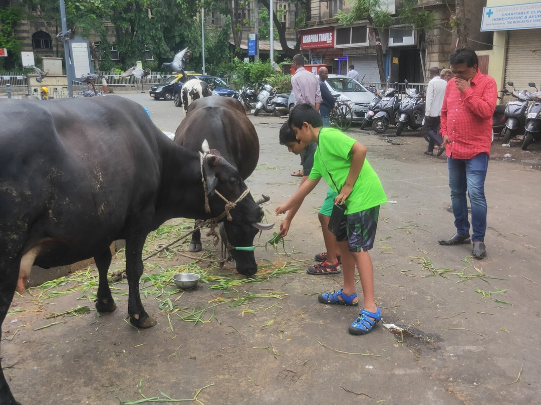 Linda Tours Mumbai-孟买必去景点