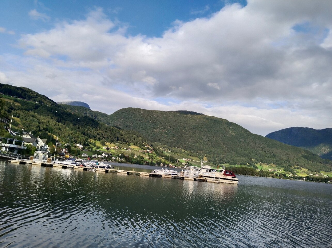 Hardanger Guesthouse主图