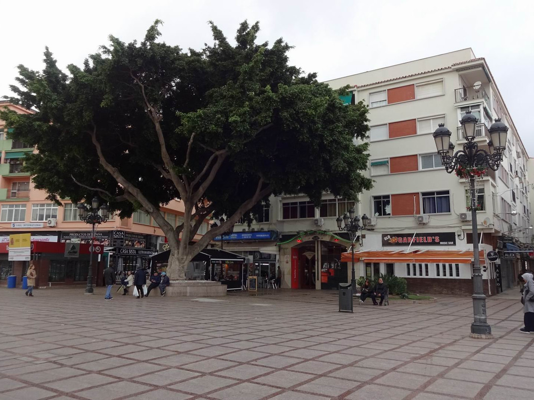 Plaza De La Nogalera-托雷莫里诺斯必去景点