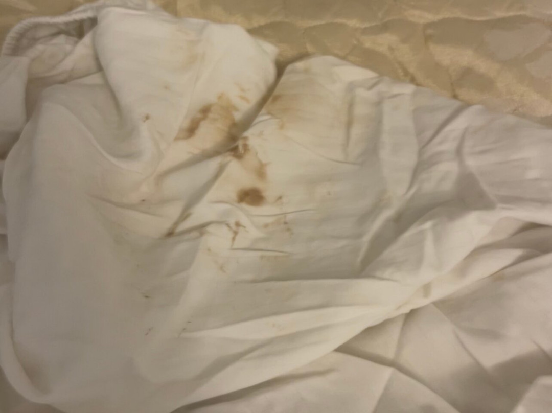 La Quinta Inn & Suites by Wyndham Orlando Lake Mary主图