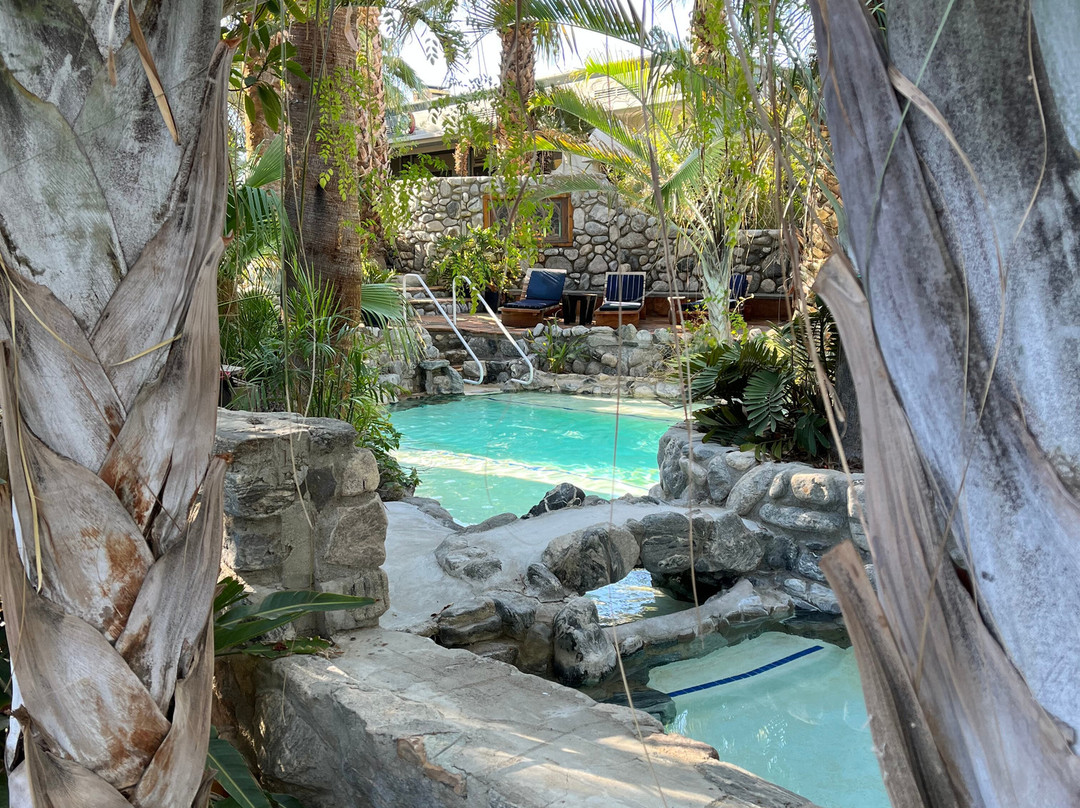 Two Bunch Palms主图