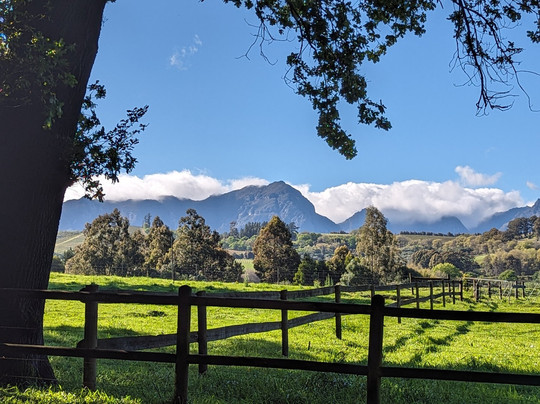 The Wine Specialists-斯泰伦博斯必去景点