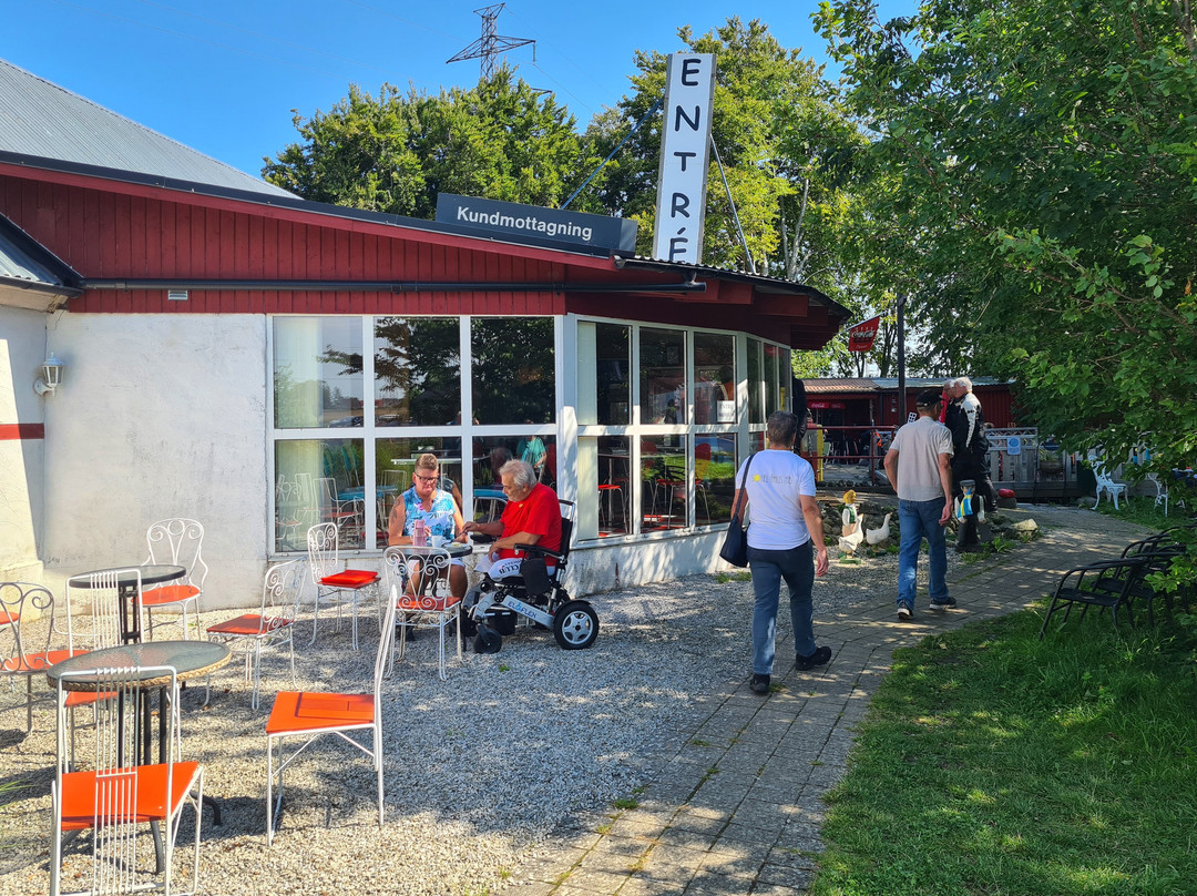 The 50s Museum och Nostalgicafé景点图片