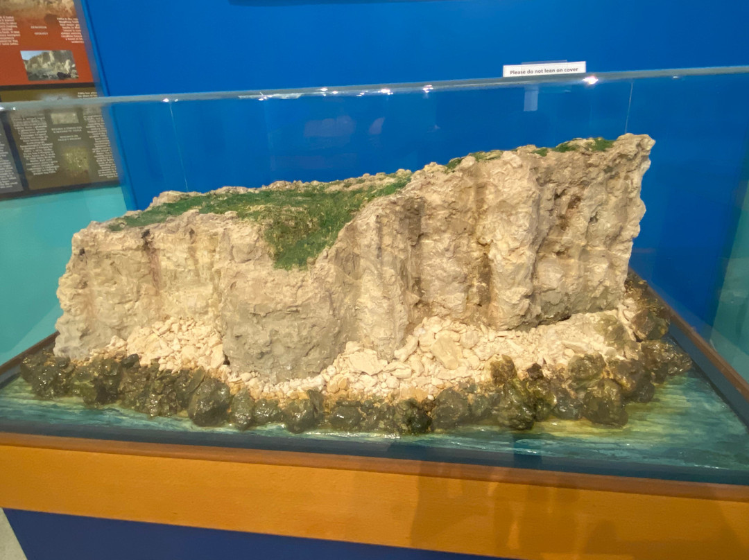 National Museum of Natural History-姆迪纳必去景点