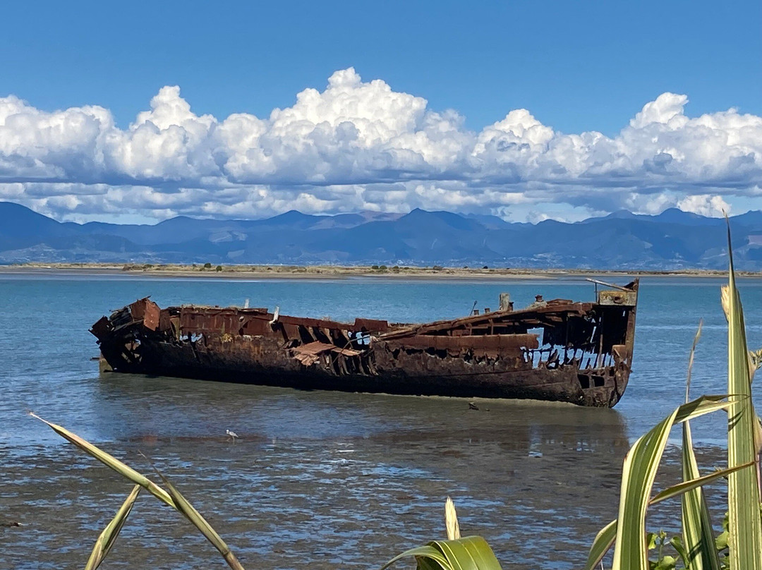 Wreck of the Janie Seddon景点图片