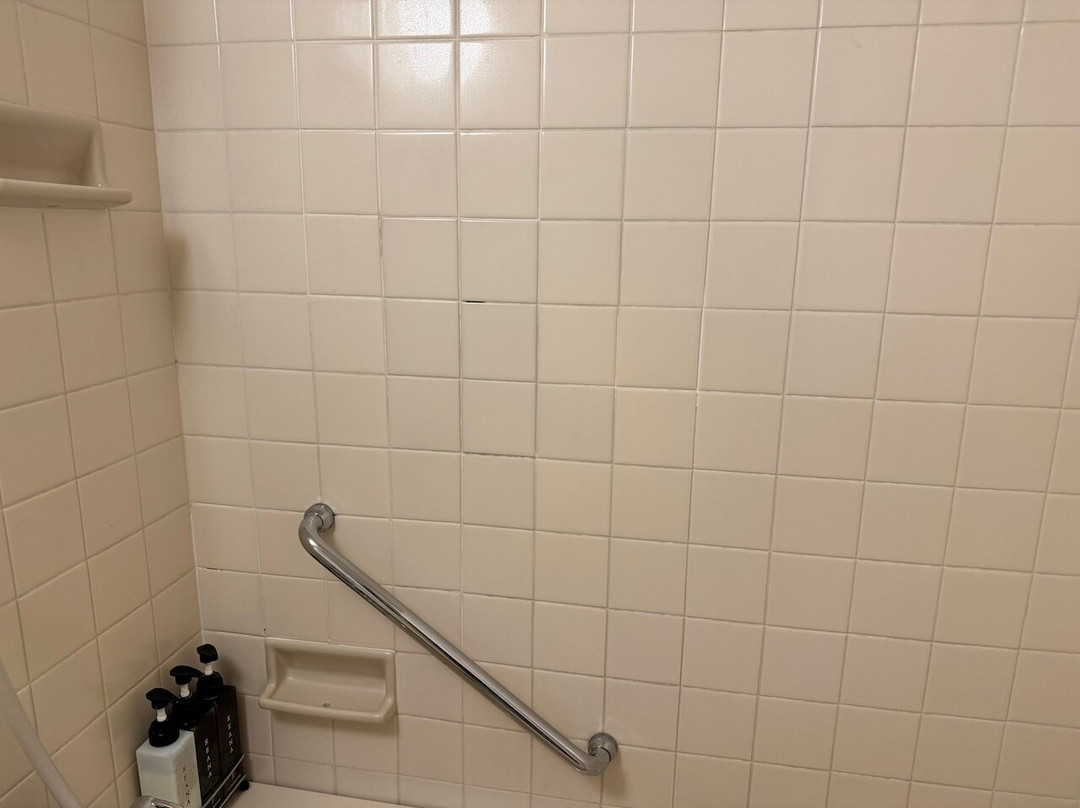 Royal Pines Hotel Chiba主图