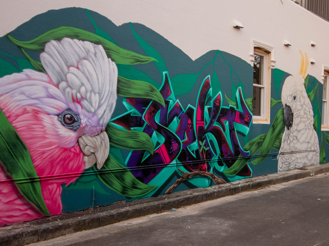 Street Art of Newtown-新镇必去景点