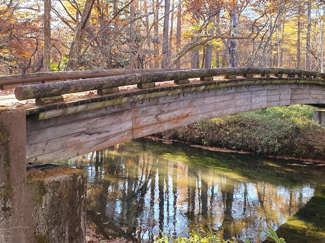 Senjogahara Field-日光市必去景点