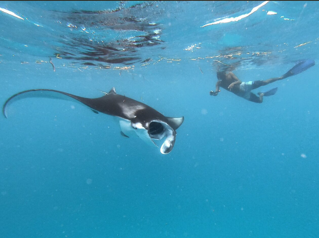 Endheri Dive Center景点图片