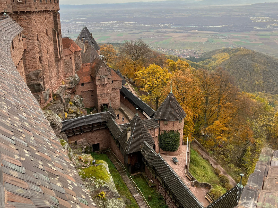 Château de Kaysersberg景点图片
