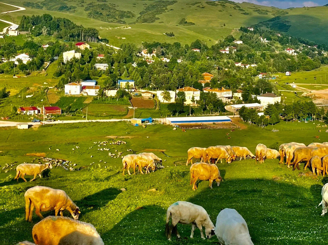 Belen Yayla Otel主图