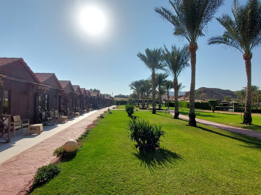 Xperience Golden Sandy Beach主图