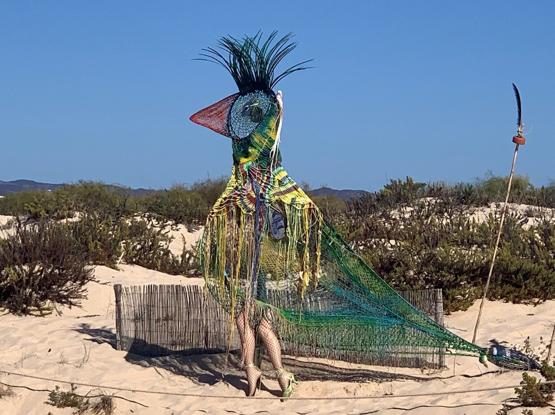 Costabeach Tavira Island and Tours-塔维拉必去景点
