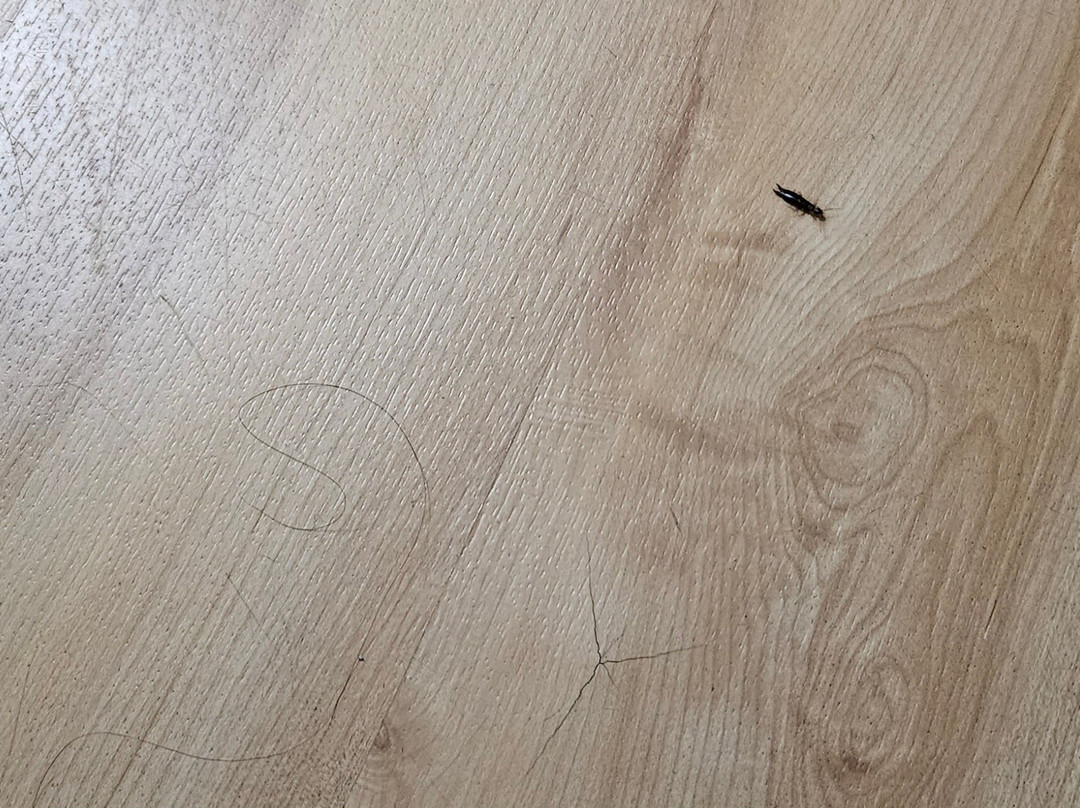 Red Roof PLUS+ Birmingham East - Irondale/ Airport主图