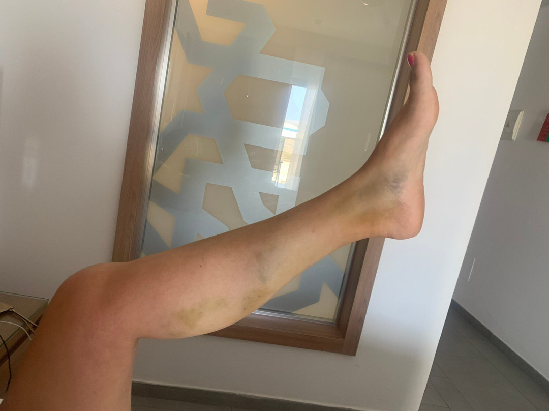 Boa Vista Tours-博阿维斯塔必去景点