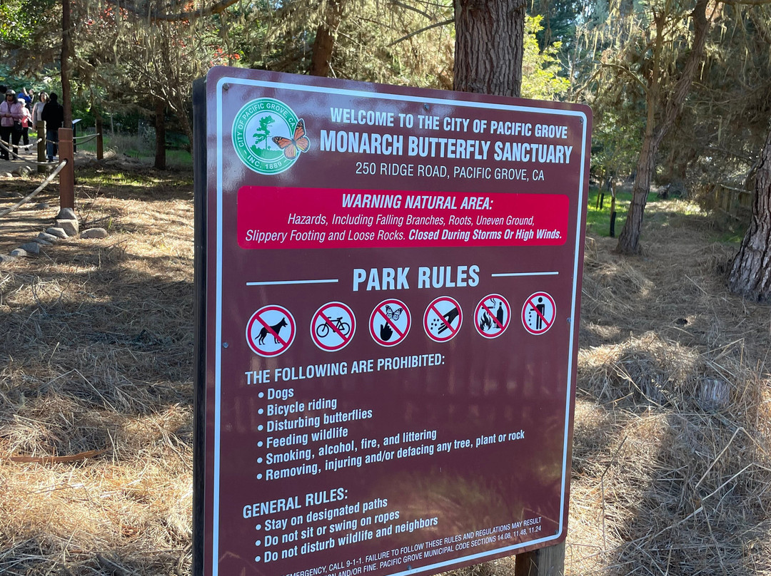 Monarch Grove Sanctuary-太平洋丛林镇必去景点