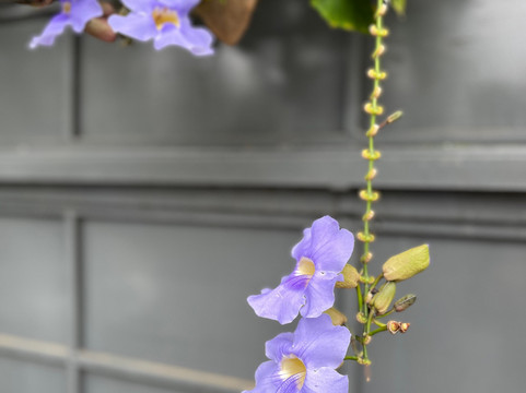 伯恩特别墅酒店主图