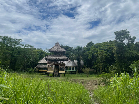 Lupuna jungle tours-伊基托斯必去景点