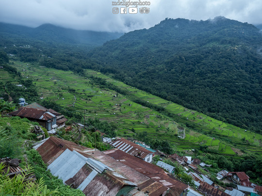 Khonoma Village-Khonoma必去景点