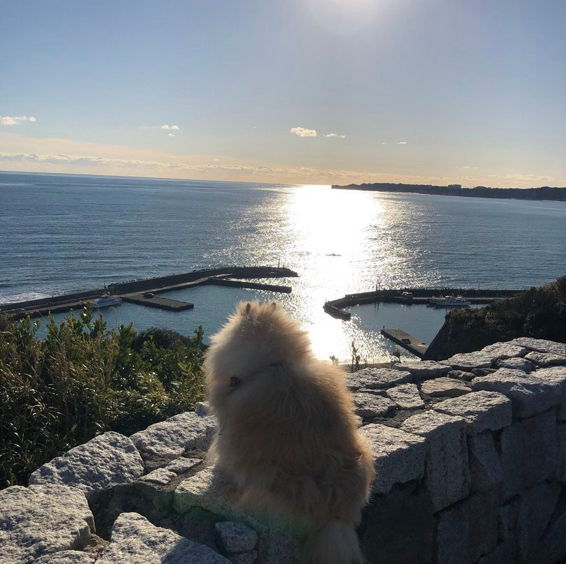 Birthplace Monument of Traffic and Friendship between Japan, Spain and Mexico-御宿町必去景点