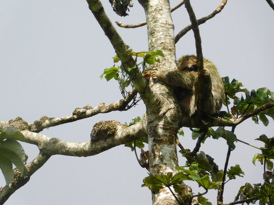 Miravalles Tours-Coco必去景点
