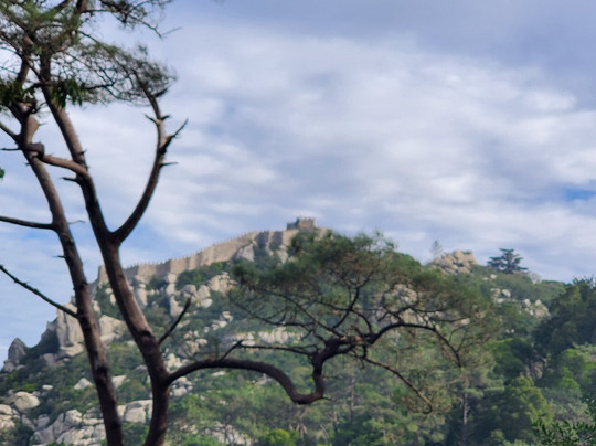 Ó Turista! Tours and Trips-里斯本必去景点