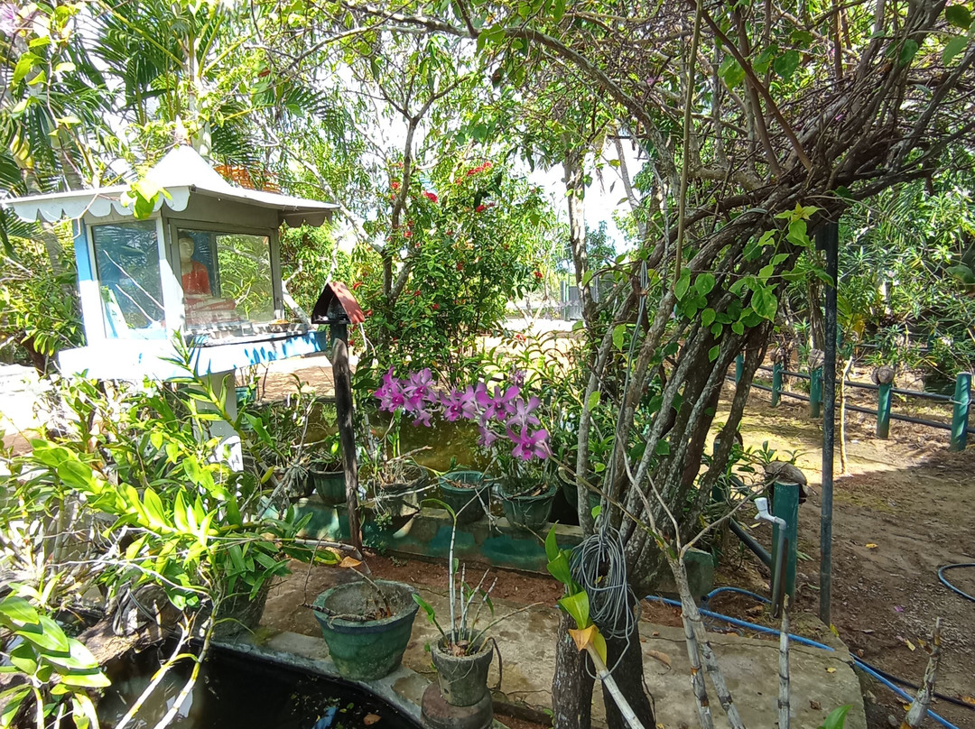 Lagoon Inn & Restaurant主图