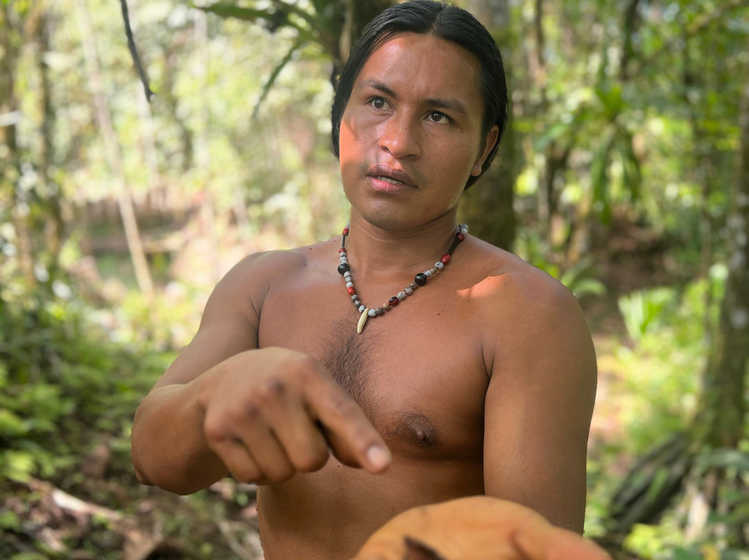 Discover Tarzan's Jungle-Puyo必去景点