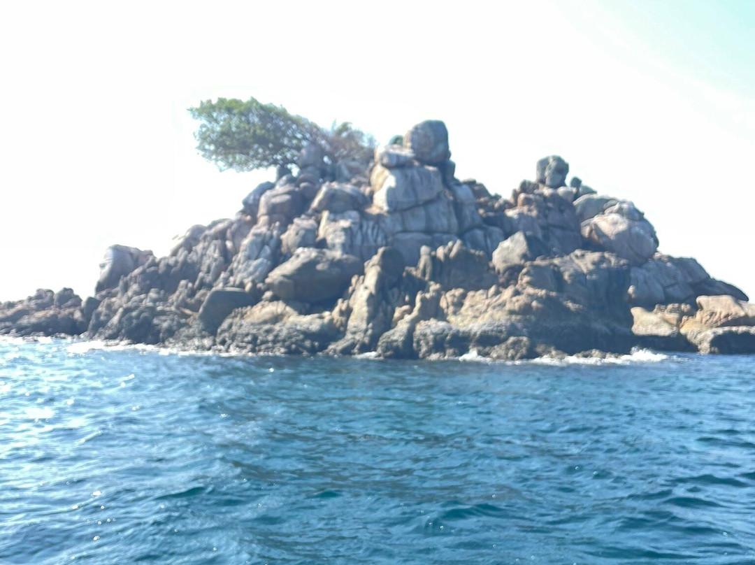 Sea Bees Diving-迈考必去景点