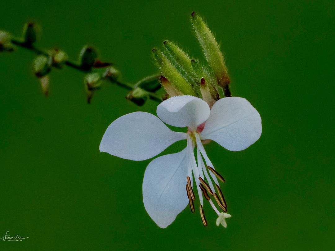 Warkworth Country House主图